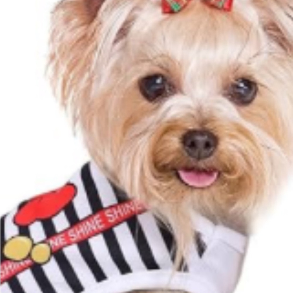 4 Striped Black and White Dog Shirt